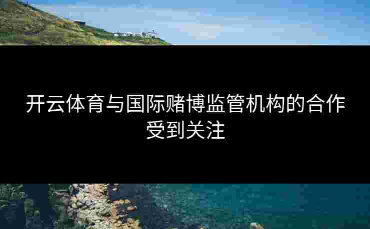 开云体育与国际赌博监管机构的合作受到关注