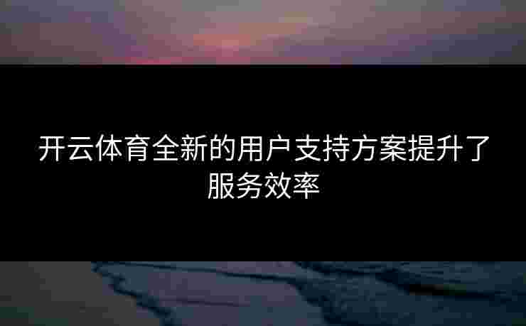 开云体育全新的用户支持方案提升了服务效率