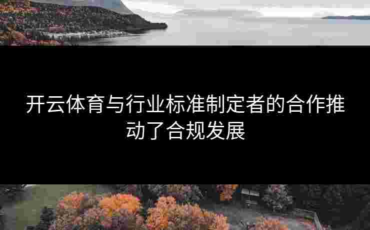 开云体育与行业标准制定者的合作推动了合规发展